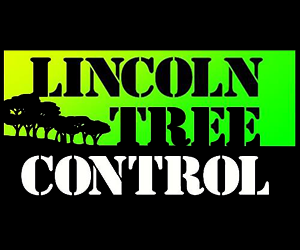 Lincoln Tree Control