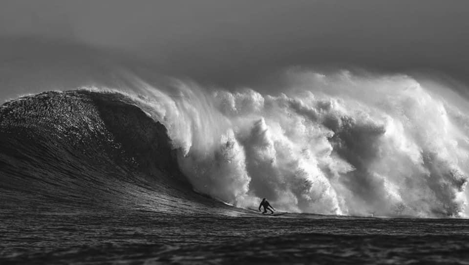 Lincoln Surf Co