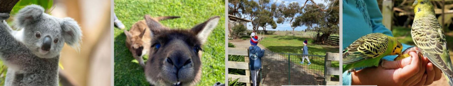 District Council of Lower Eyre Peninsula